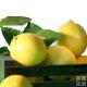 Dr Smoothie Lemon- Ade 100% Crushed Fruit Smoothie Concentrate